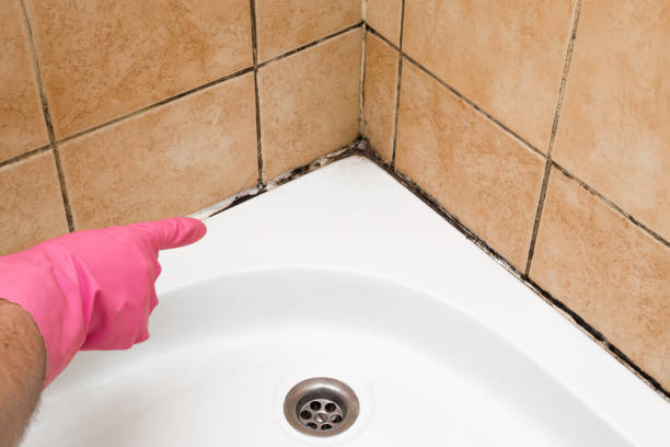 Best Mold Testing  in Fort Drum, NY